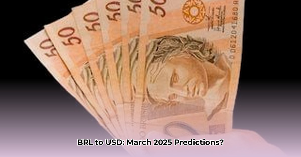 3000-brazilian-real-to-usd